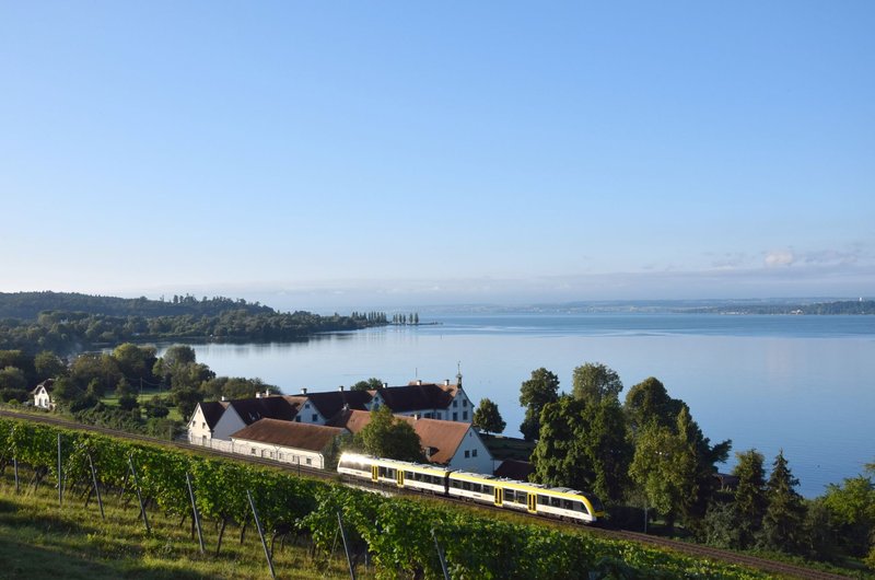 Regionalbahn fährt an einem Schloss vorbei am Ufer des Bodensees mit Weinbergen im Vordergrund