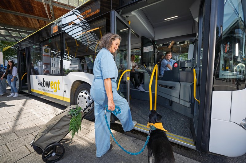 Eine ältere Frau mit Hund und Einkaufstrolley steigt vorne in einen Regiobus ein.