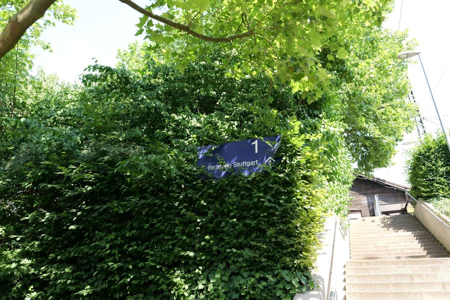 Treppe neben dicht bewachsenem grünen Busch mit blauem Schild '1 Richtung Stuttgart'