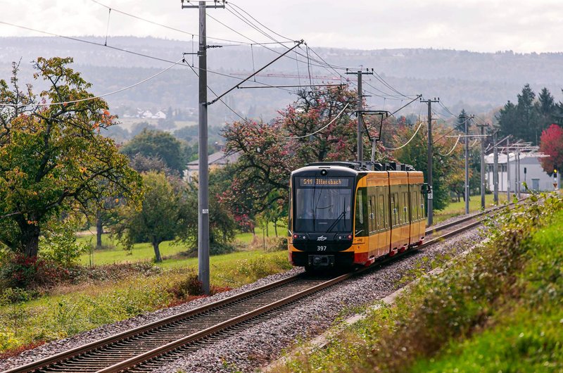 Gelber Stadtbahnwagen der Linie S11 fährt auf Gleisen durch eine ländliche Landschaft mit Bäumen und Strommasten